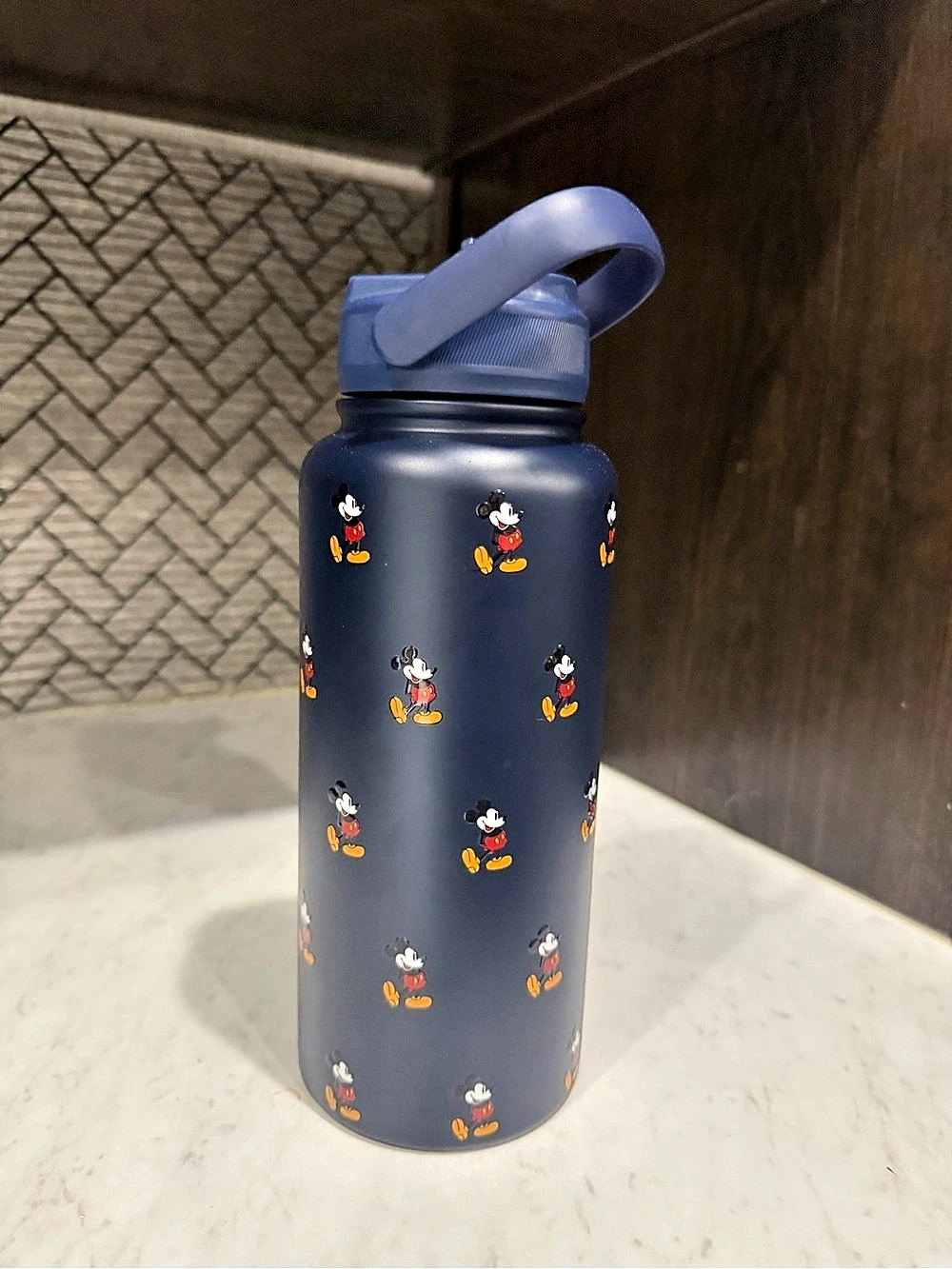 Disney Parks Mickey Mouse Stainless Steel Water Bottle Blue